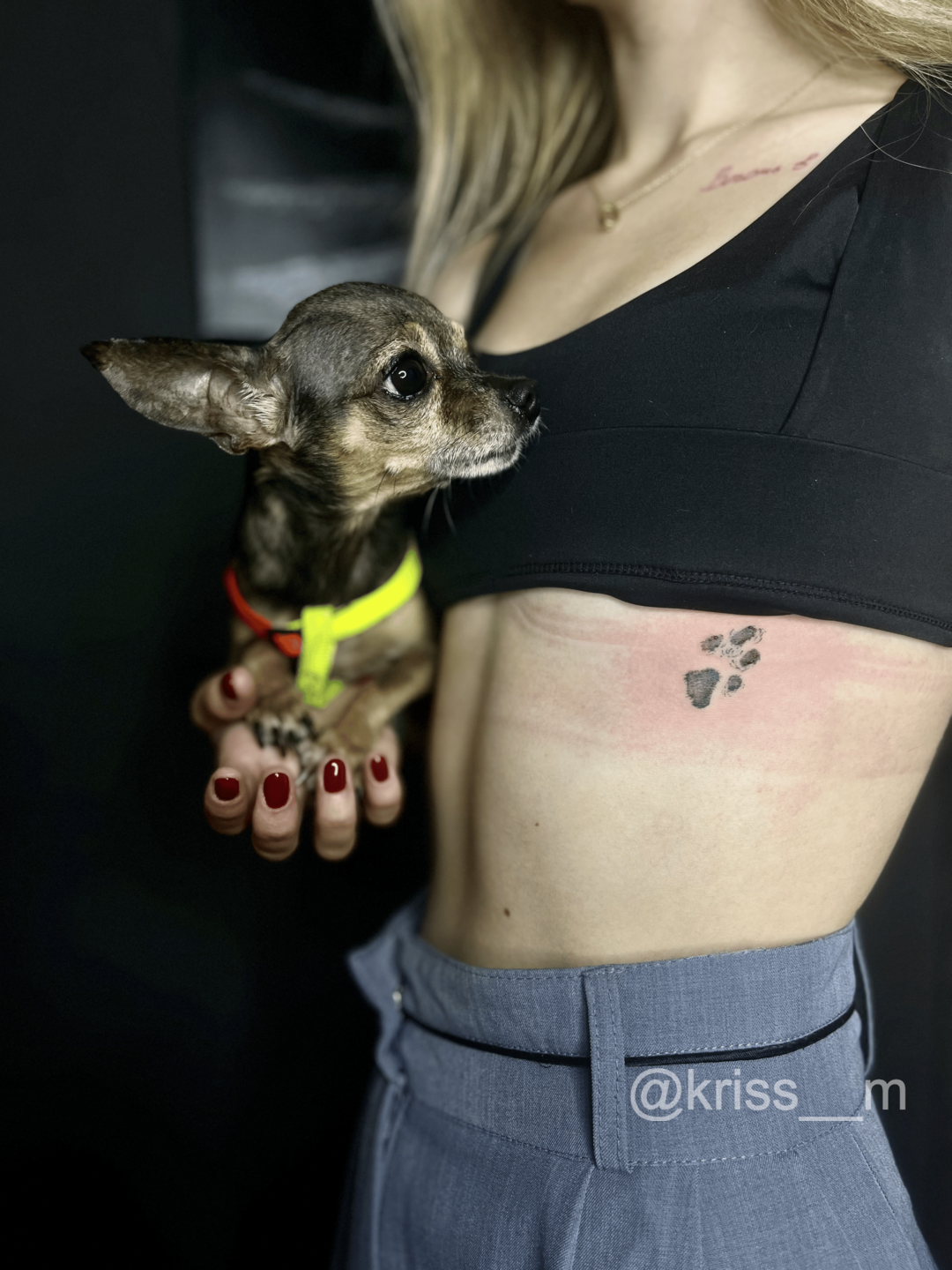 міні тату, тату відбитку лапи, тату майстер kriss__m, Умань